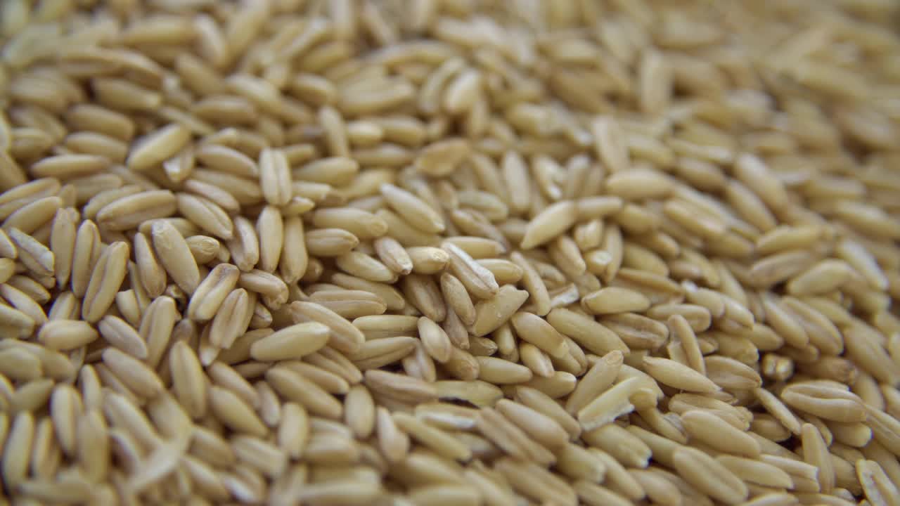 小麦谷物视频素材