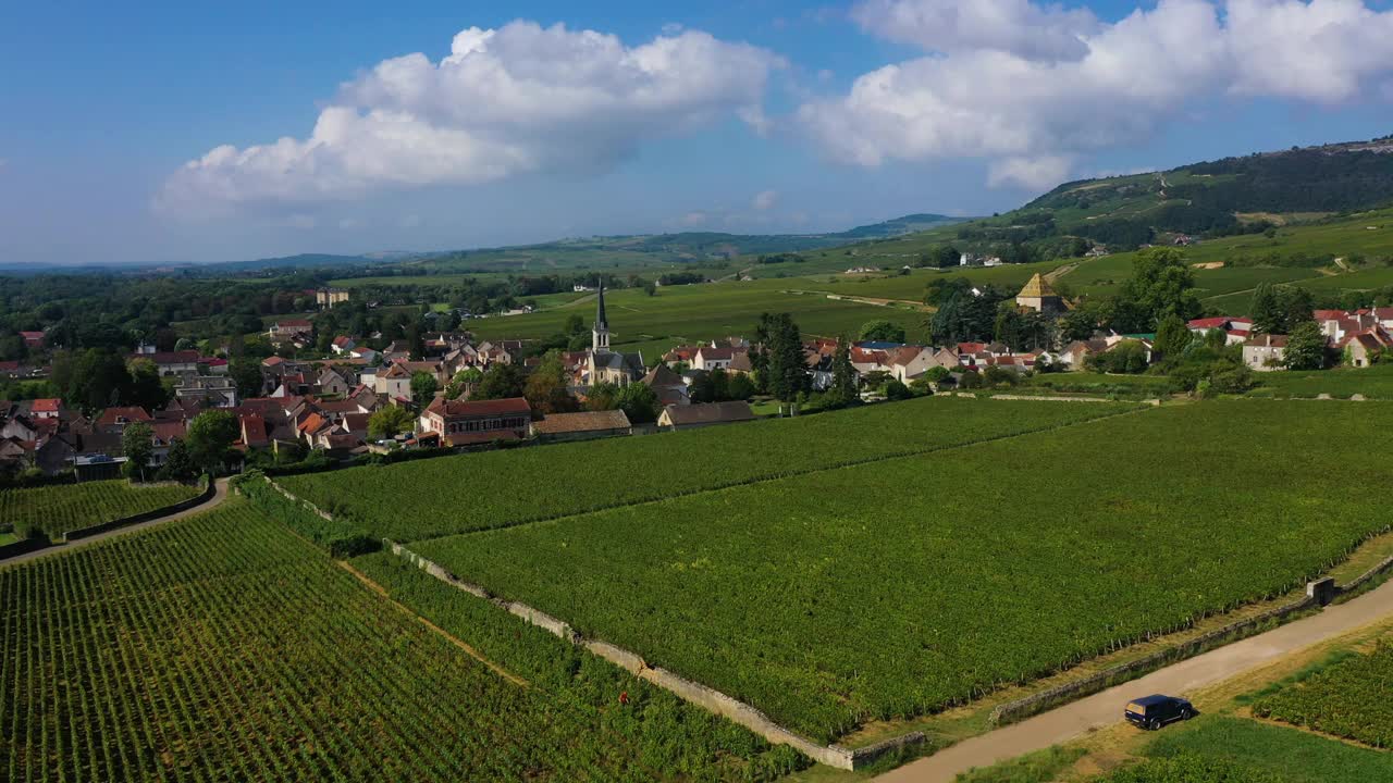 法国勃艮第的圣特奈村和城堡视频下载
