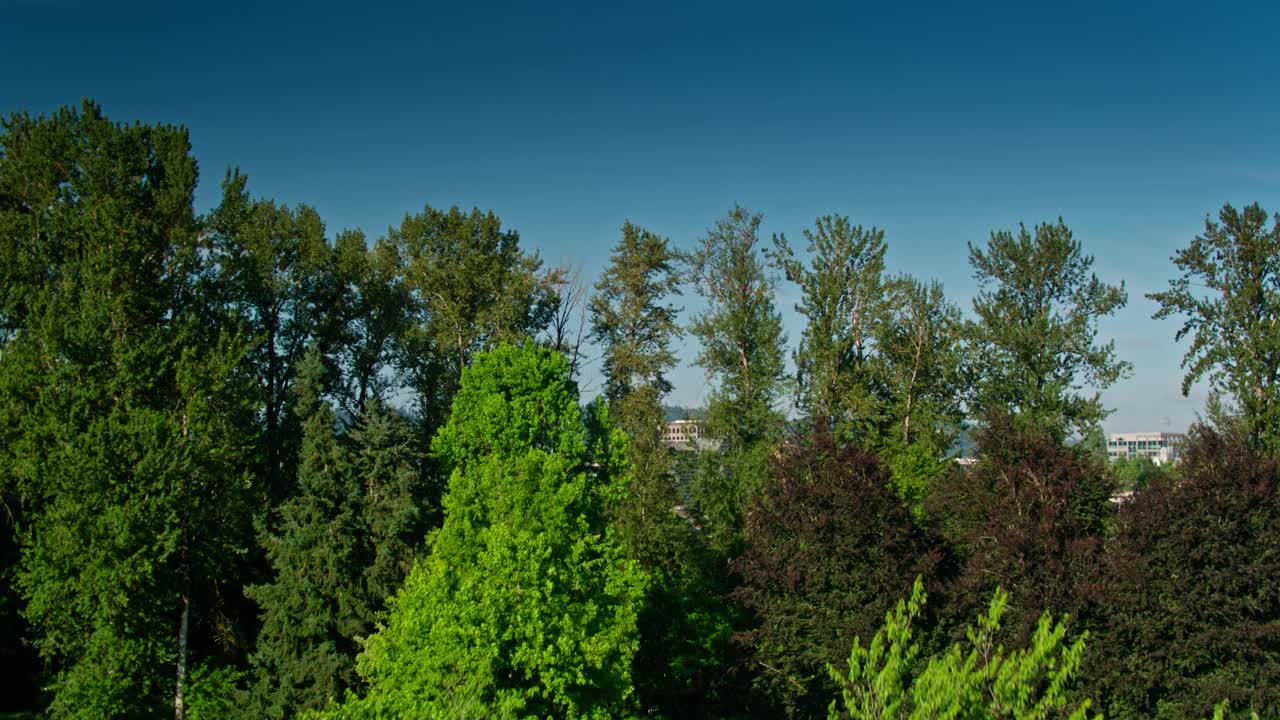 无人机拍摄的俄勒冈州尤金视频下载