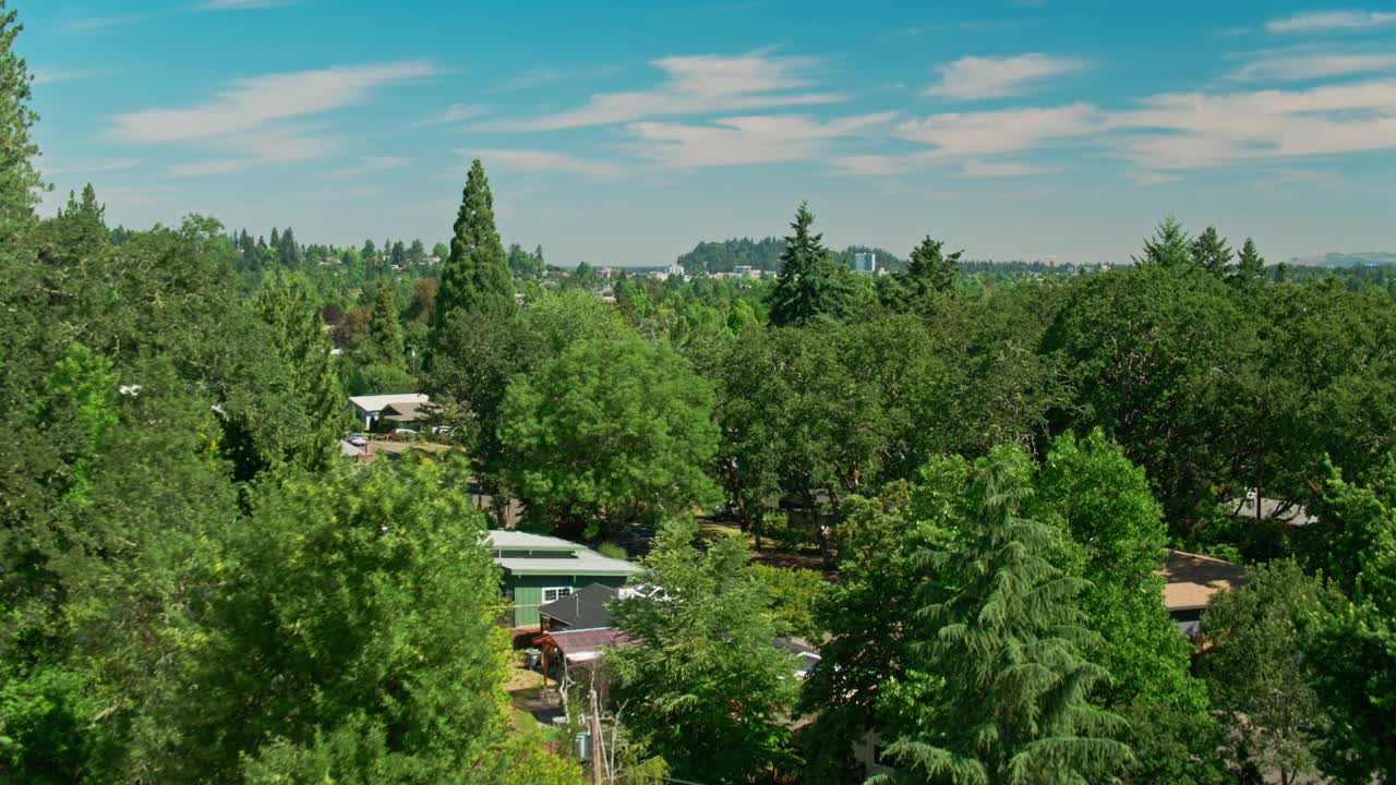 Eugene Amid Evergreen Forest的住房视频下载