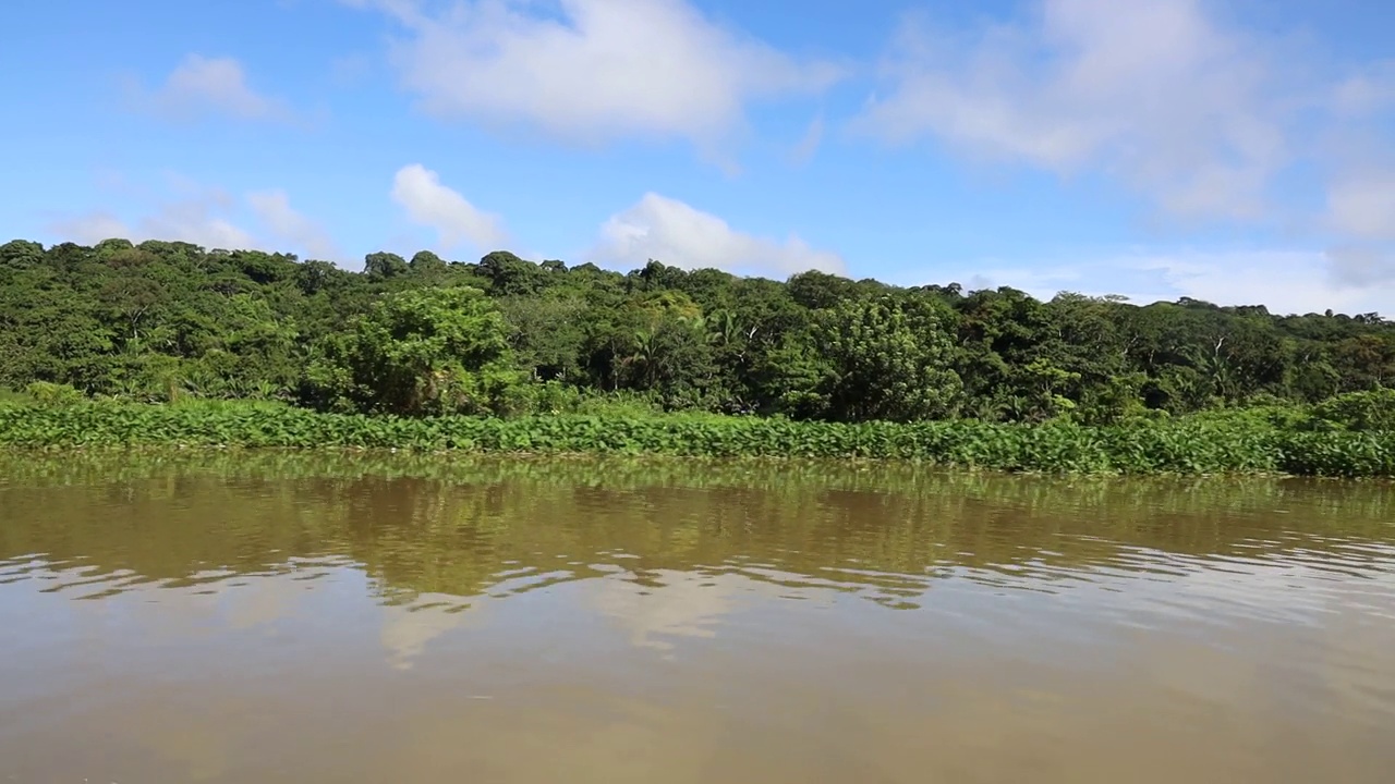 Gamboa河Cahgres地区视频素材