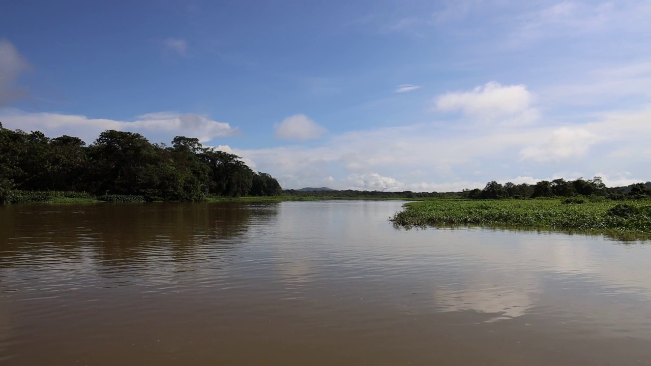 雨后的Chagres河水视频素材