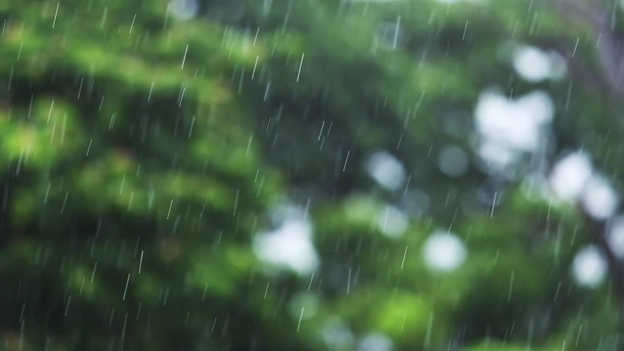 雨落自然背景。视频下载