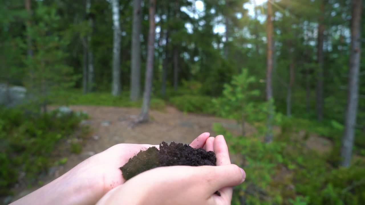 在森林的背景下，树从人类的手中发芽生长视频素材