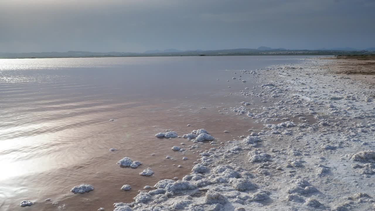 在咸水湖岸边形成的矿物盐。视频下载