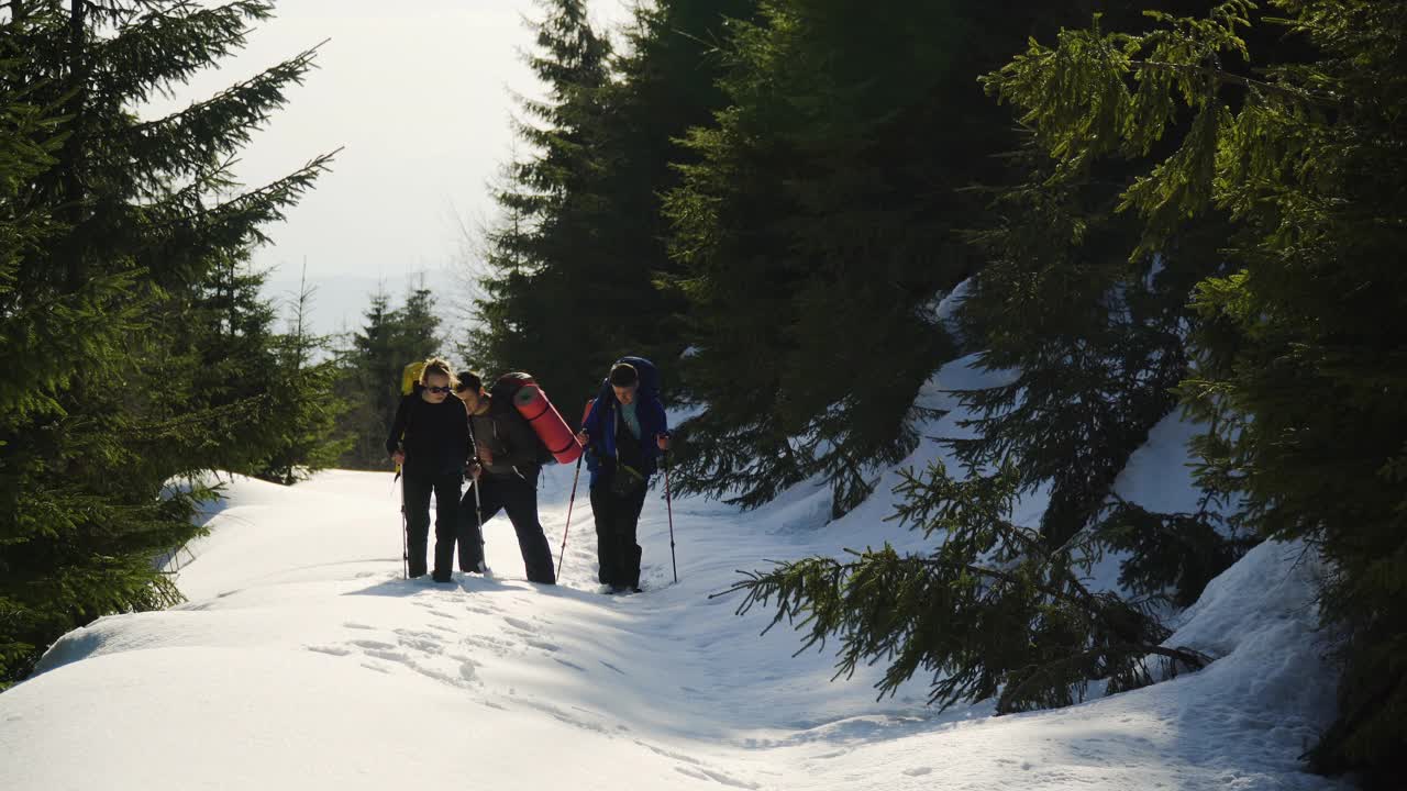 登山朋友们在雪地上攀登，穿过森林视频素材