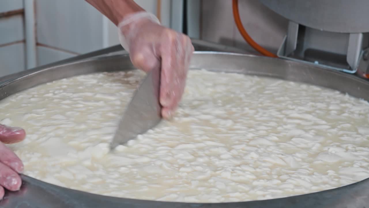 戴着手套的工人正在用一个大铁板在大桶里搅拌新鲜的软奶酪视频素材