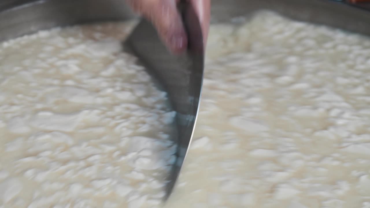 戴着手套的奶酪制作工人将新鲜的软奶酪与一个大铁板放在大桶中搅拌视频素材