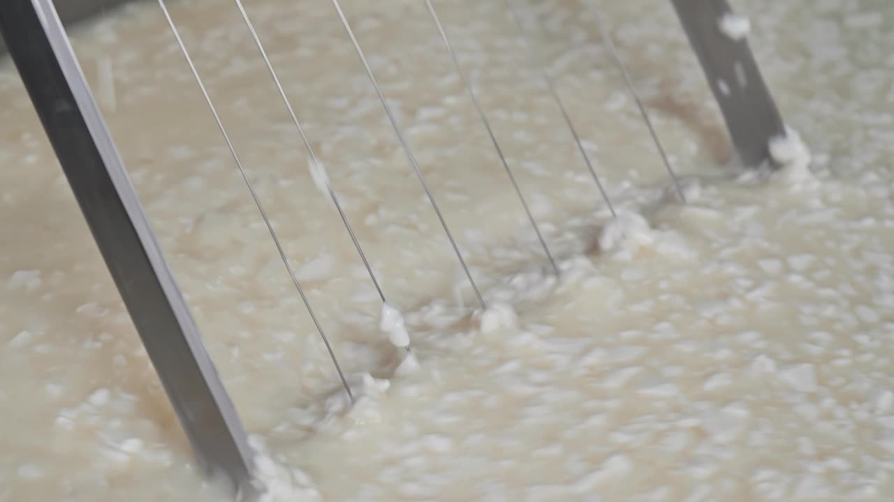 奶酪制造工业——用一个大的切割工具将新鲜的软奶酪块放入大桶中搅拌视频素材