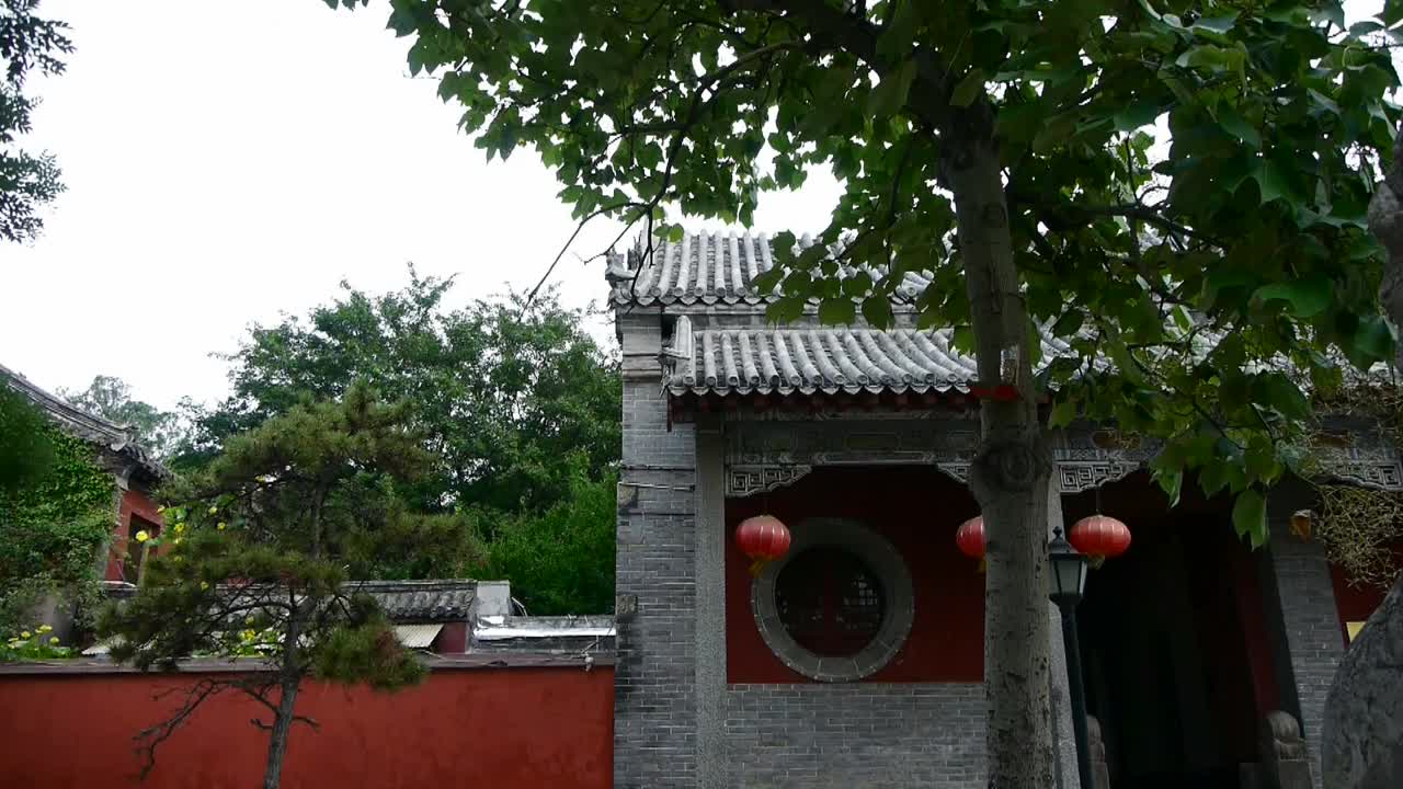 寺庙门口的石狮、历史纪念物、晃动的树影。视频素材