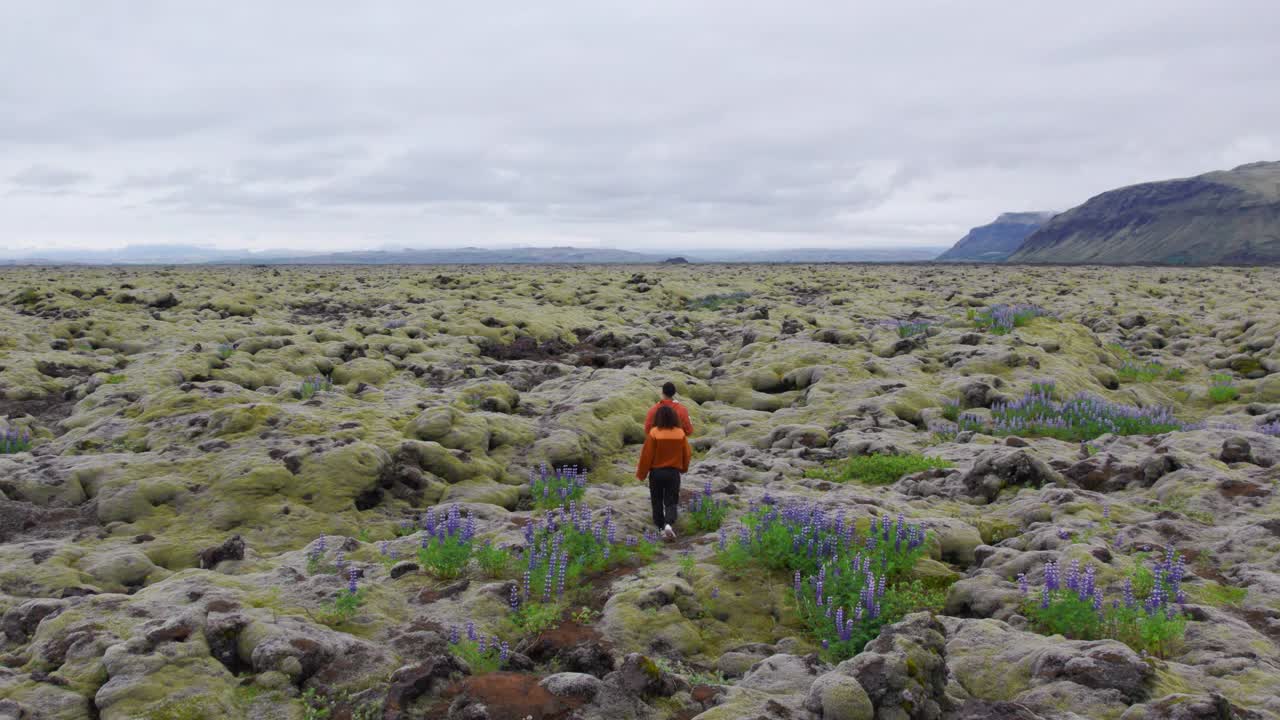 徒步旅行夫妇拍摄和行走在苔藓景观视频素材