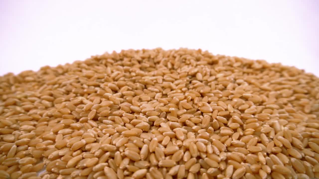 小麦籽粒落地，生食配料，农产品慢动作视频素材