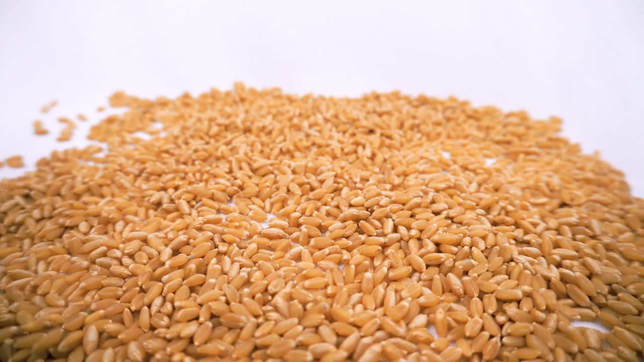 小麦籽粒落地，生食配料，农产品慢动作视频素材