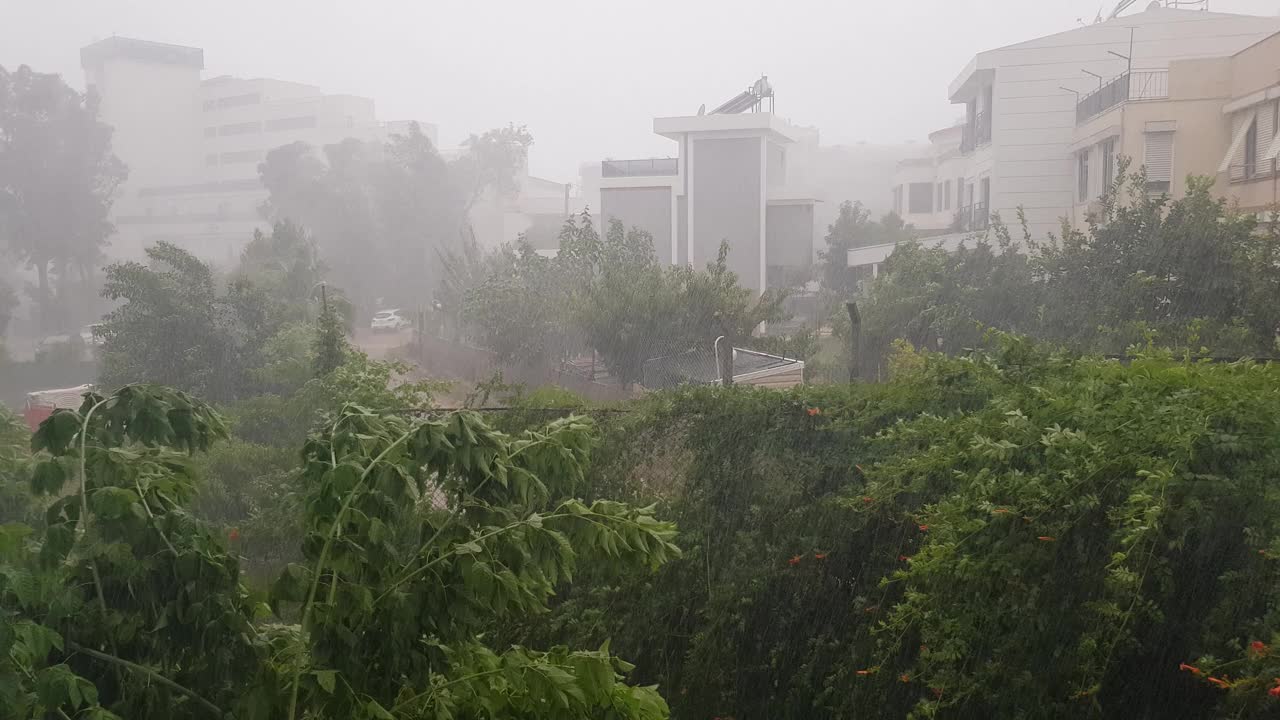 夏天的雨天。城里下着大雨，刮着大风。视频下载
