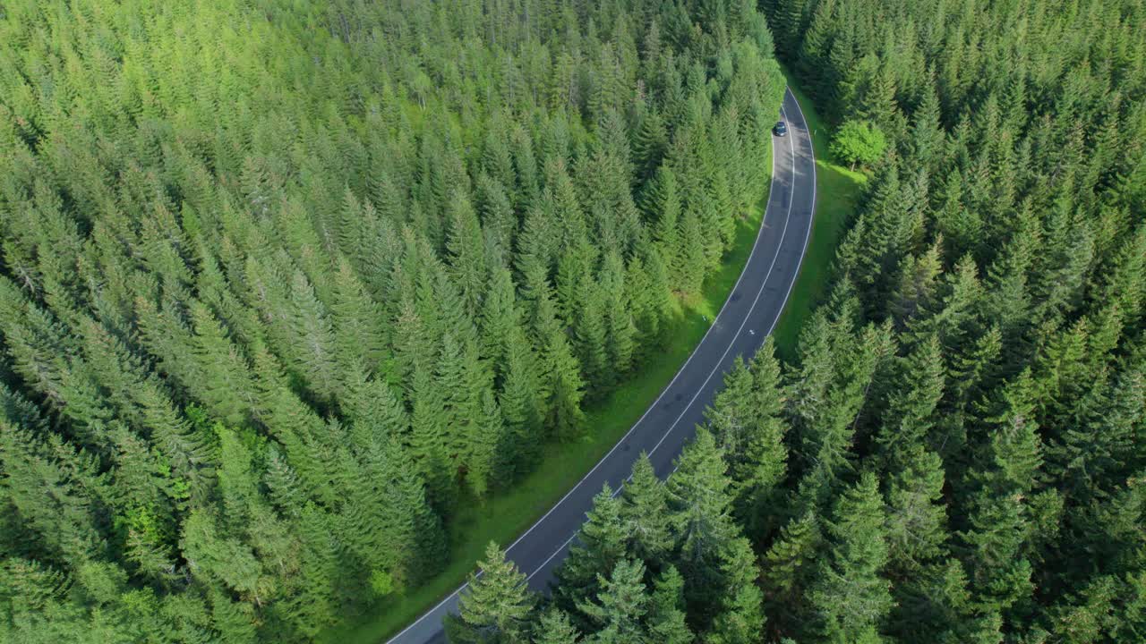 绿色森林中的山路的无人机视图(航拍)视频下载