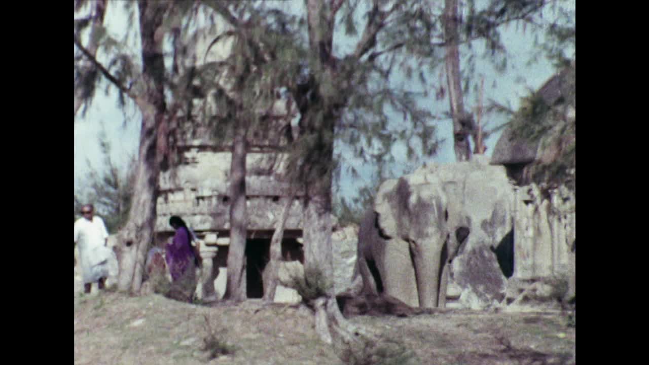 人和牲畜，马哈巴利普兰，印度;1967视频素材