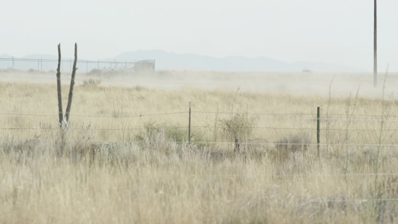中等角度的草地，田野，或农田后面的带刺铁丝网。风中可见的尘土。可能是农村地区。视频素材