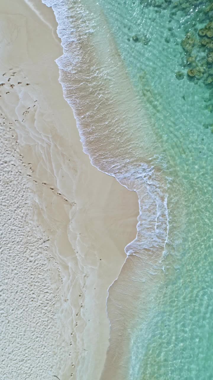 在加勒比海的关键海岸线上，白色的沙礁岛上的海浪直接下图视频素材