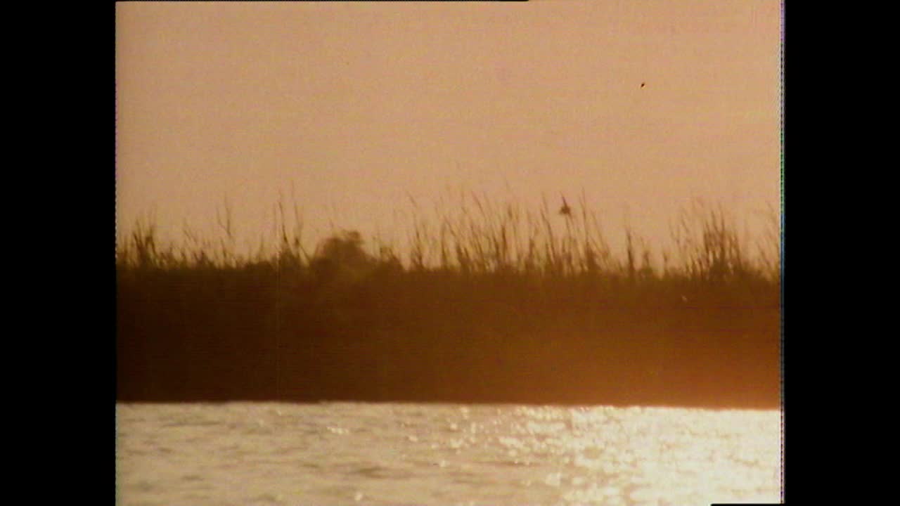 pov船通过路易斯安那河口景观;1979视频下载