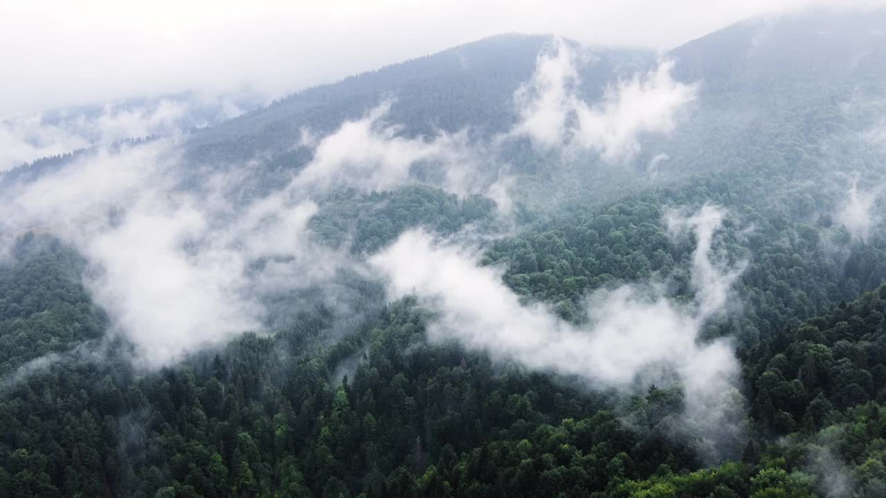 云朵在山上的森林，飞行通过神奇的春天森林下雨的天气，鸟瞰图无人机4k视频素材