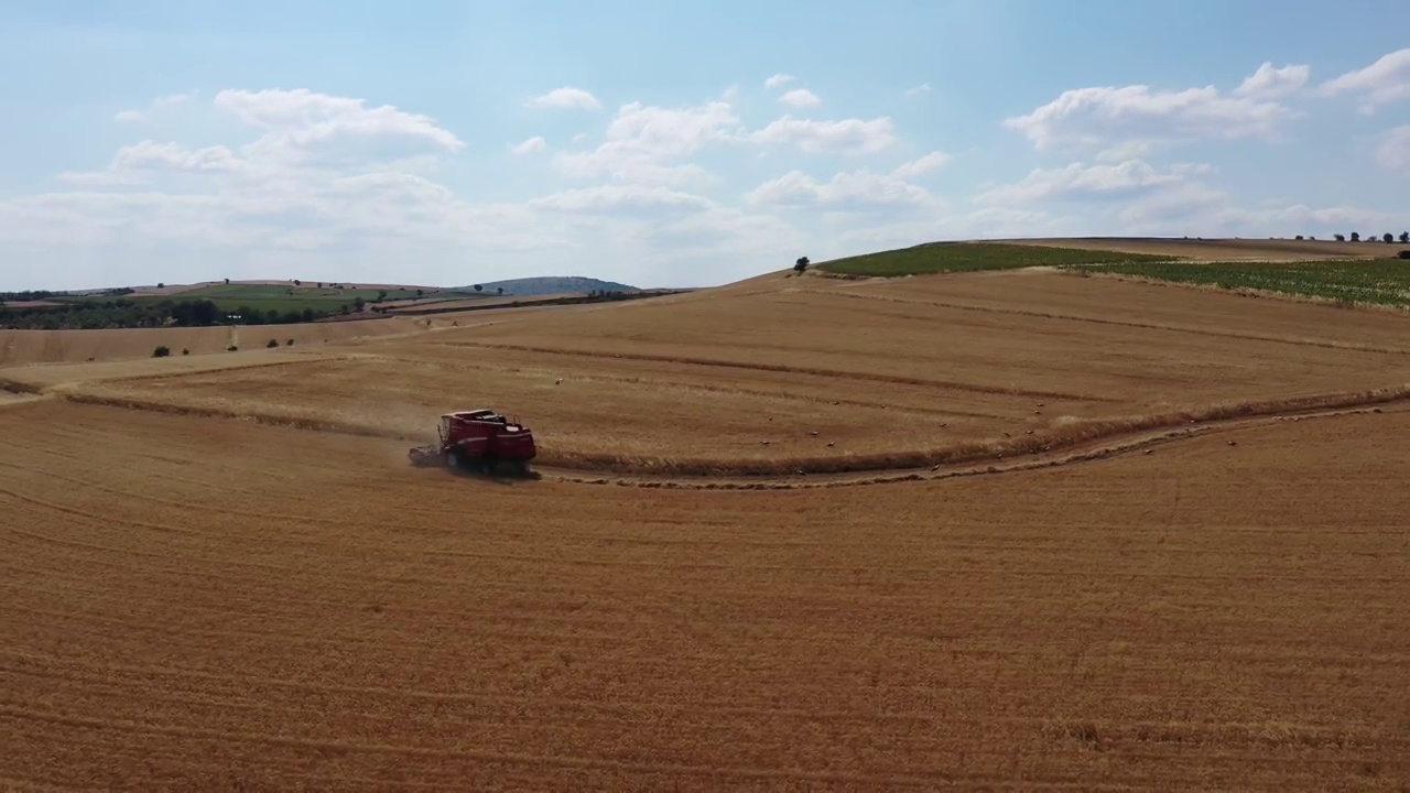 联合收割机切割小麦植株视频下载