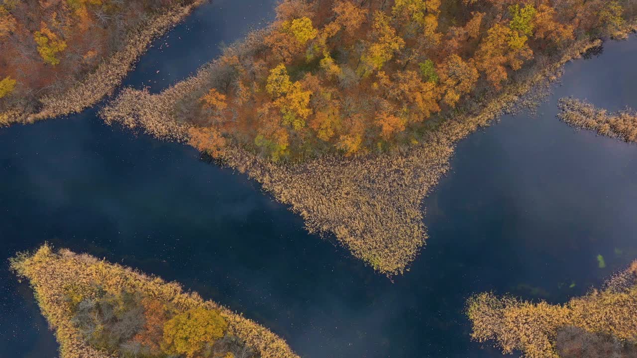 鸟瞰图的秋天森林与小安静蜿蜒的河流视频素材