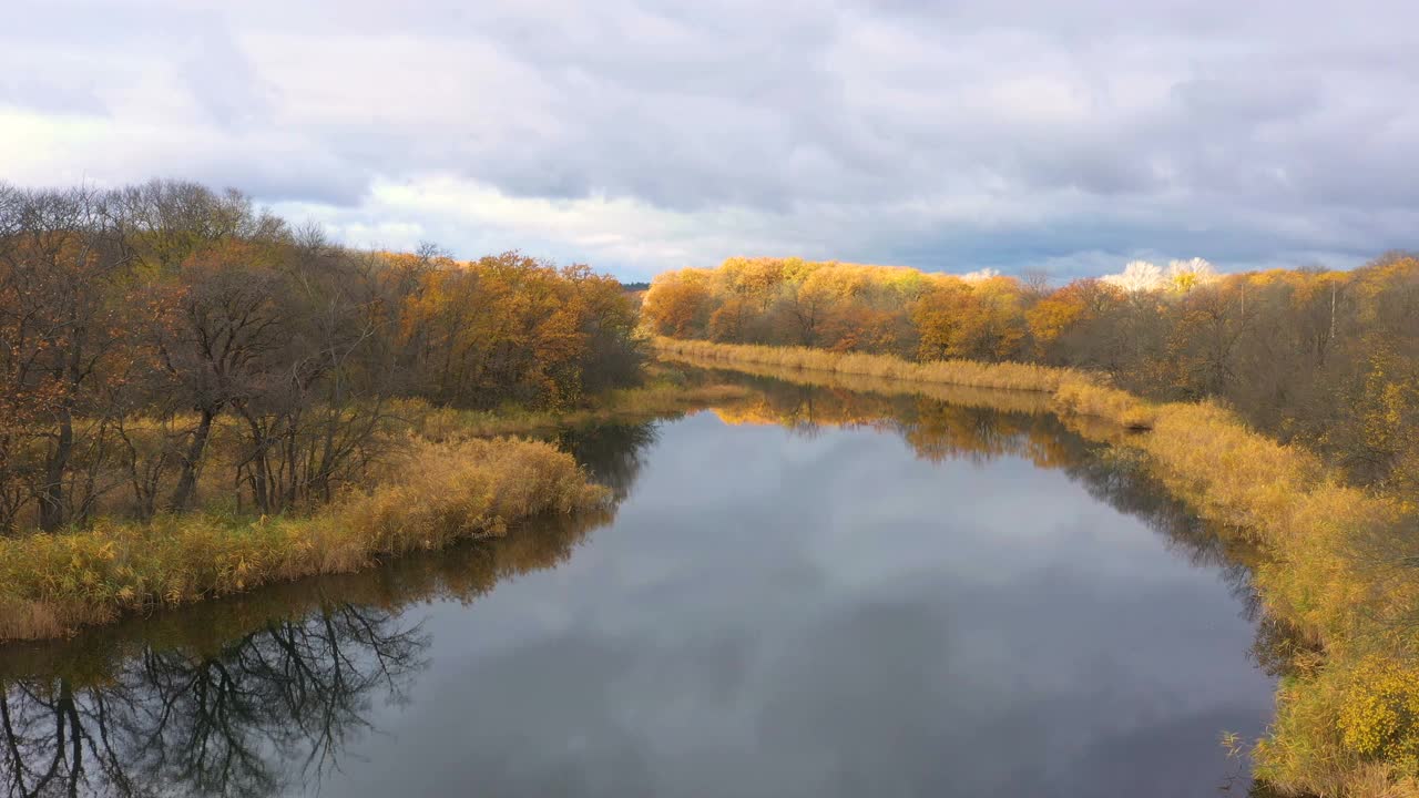 鸟瞰图的秋天森林与小安静蜿蜒的河流视频素材