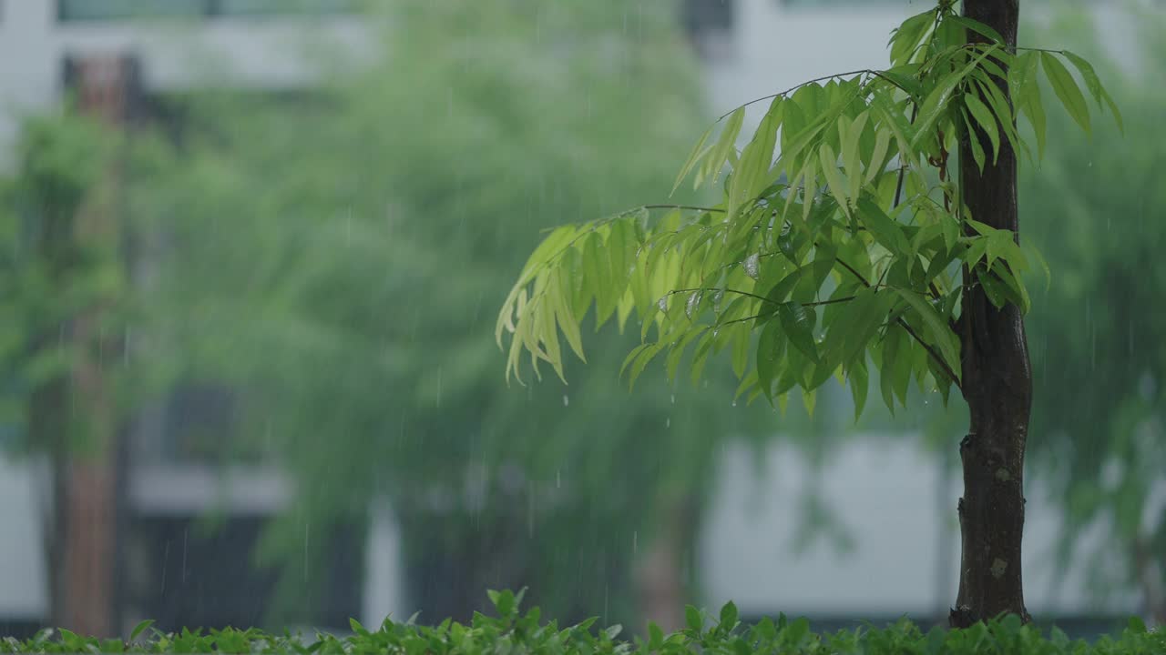 雨天的SLO MO环境视频下载