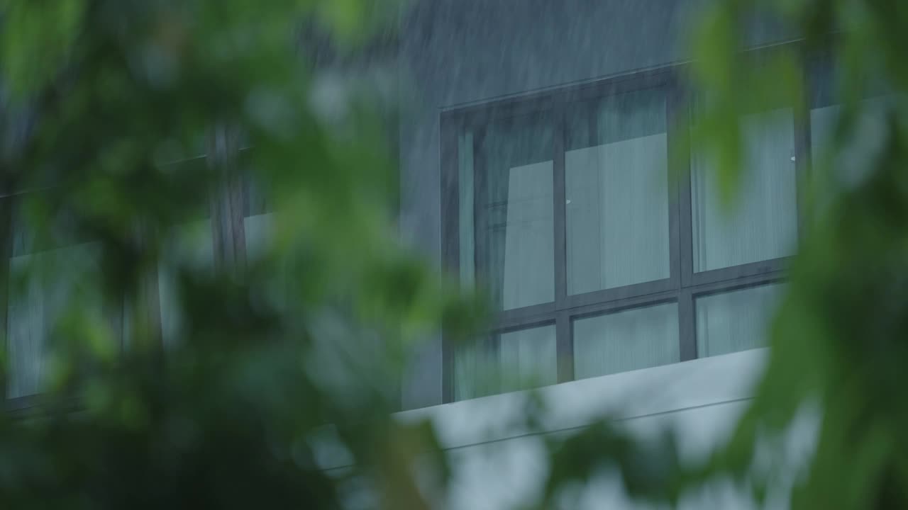 公寓的雨天视频下载