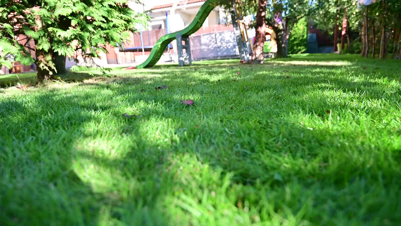 拉布拉多犬在后院休息视频下载