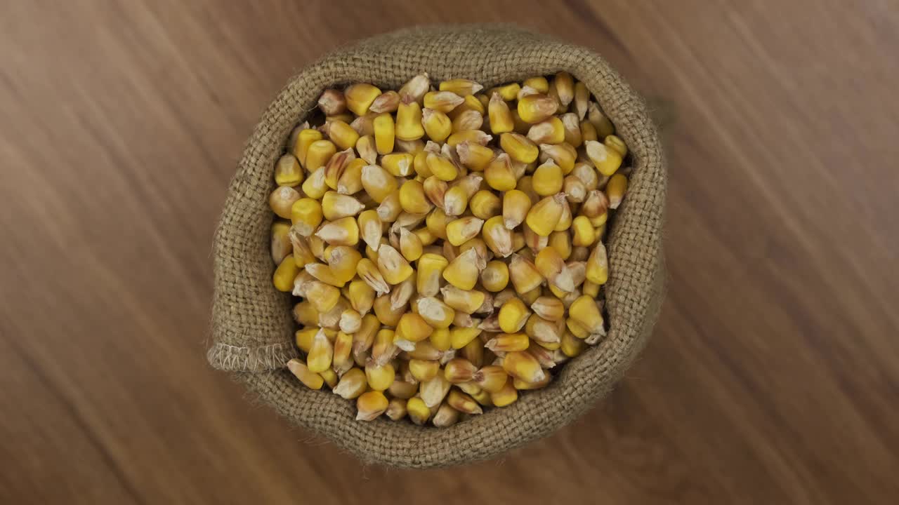 旋转一袋玉米种子。从以上观点。视频素材