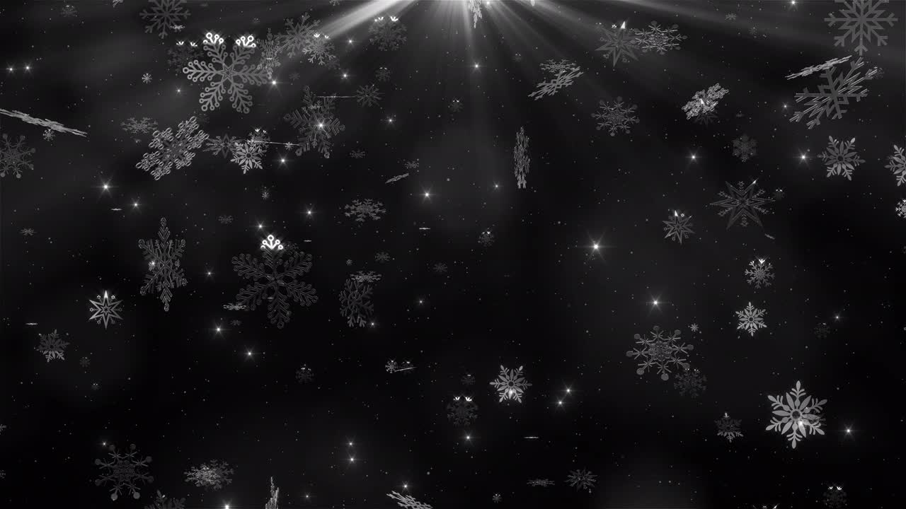 美丽的雪花飘落在透明的背景上视频素材