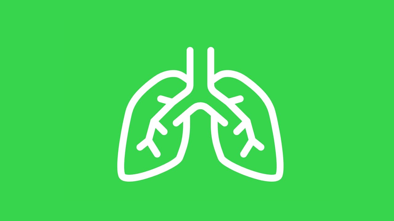 绿色屏幕上的肺线图标运动图形动画。视频素材