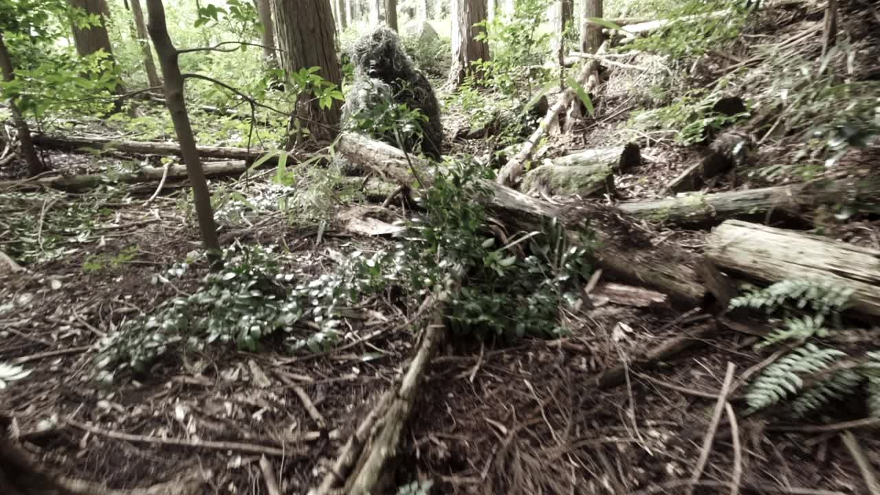 吉利西装狙击手藏在森林里，手持步枪，摄像机飞过视频素材