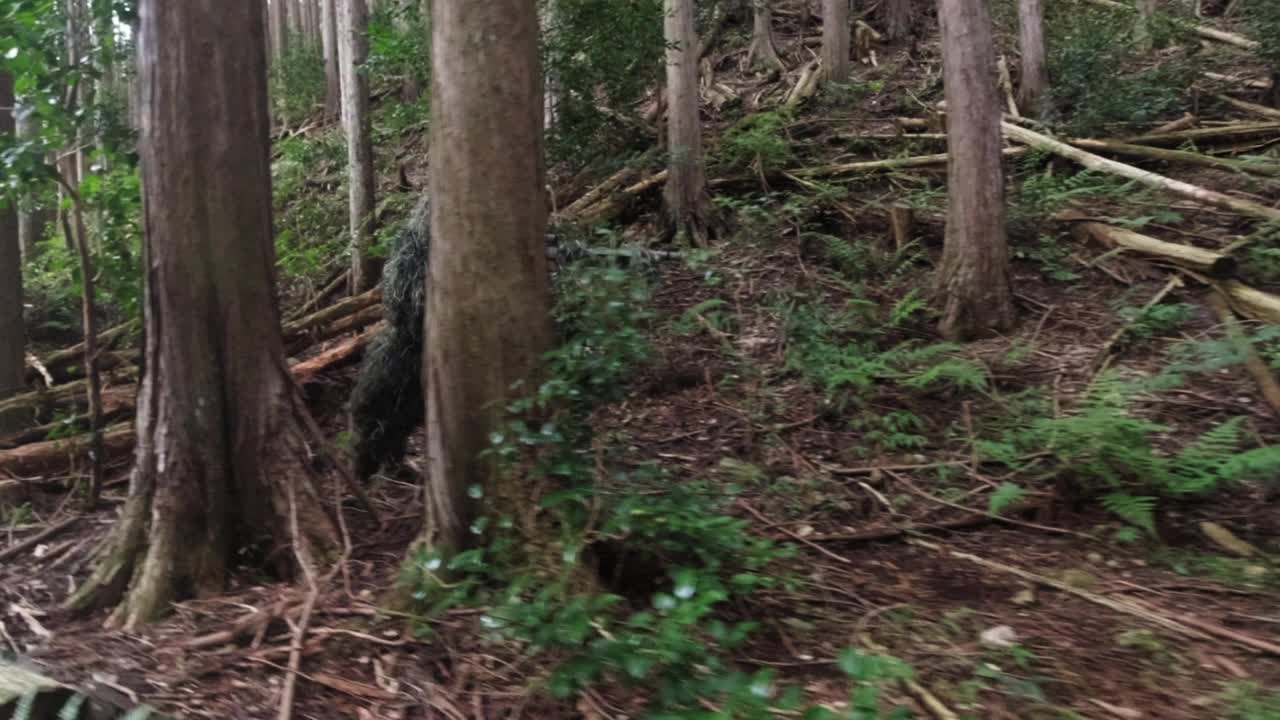 穿着吉利制服的狙击手在森林里潜行视频素材