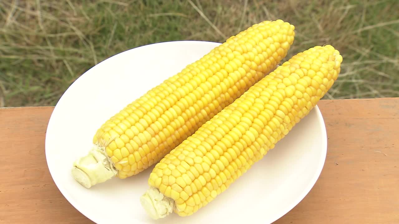 CU，煮玉米，茨城县，日本视频素材
