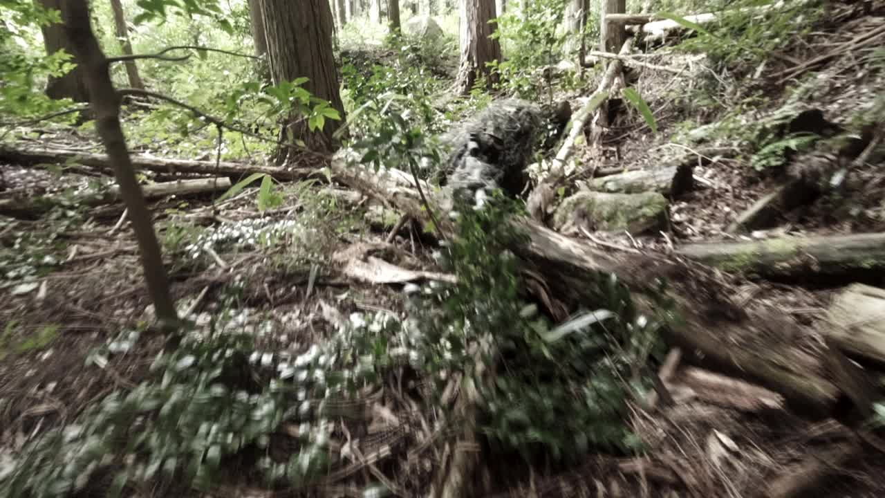 吉利西装狙击手躺在森林里瞄准，摄像机在头顶移动视频素材