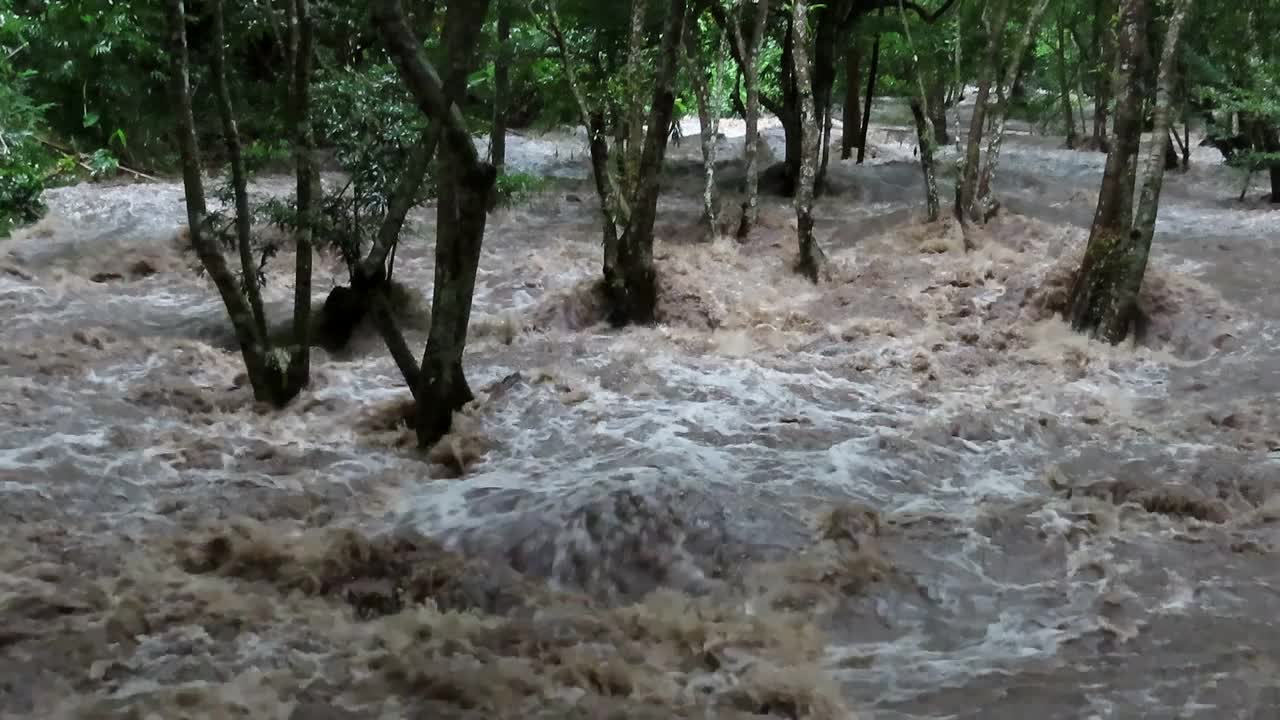 浑浊洪河中的河水视频下载