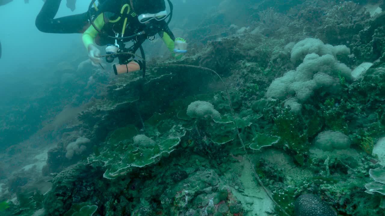 年轻的女性水肺潜水员从珊瑚礁移走渔网视频素材