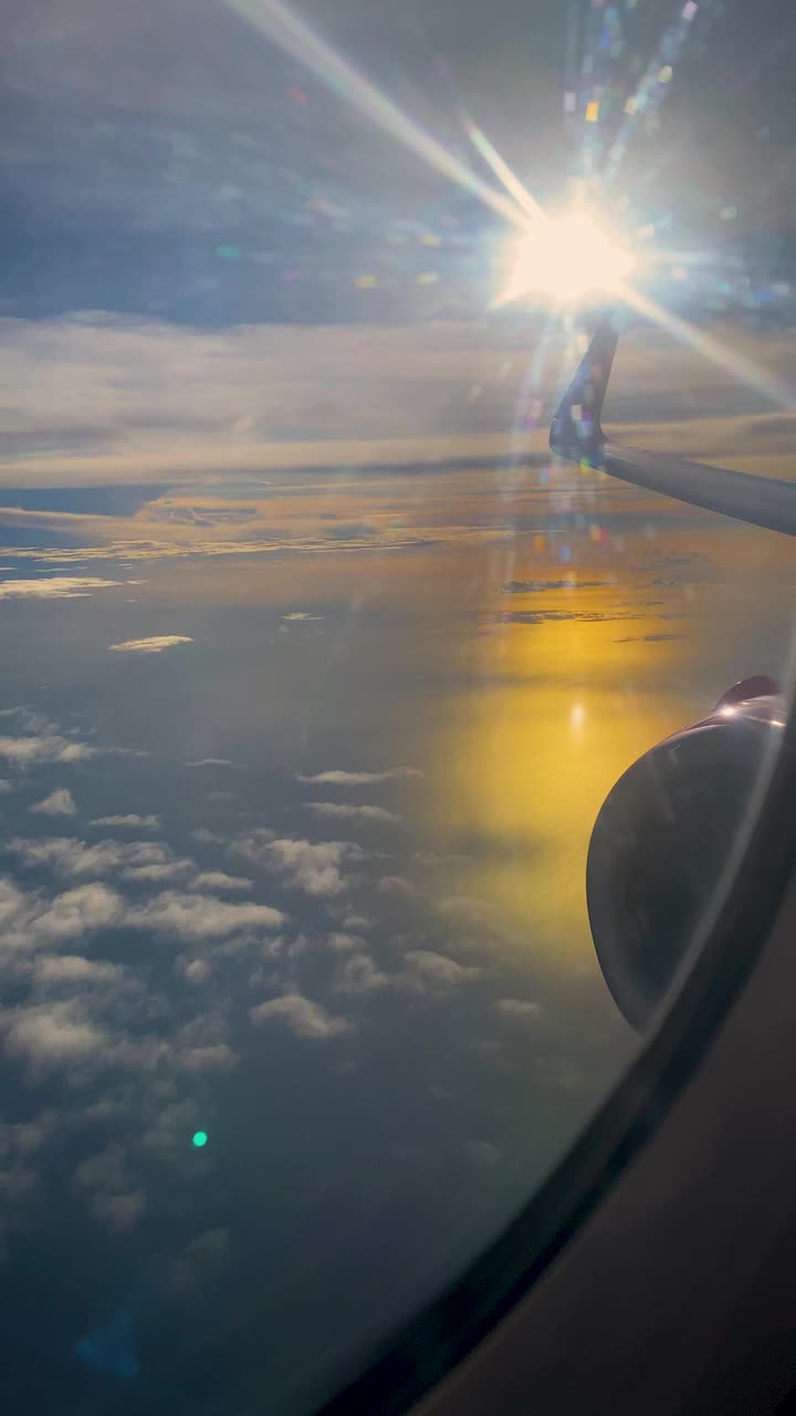 从飞机上拍摄的垂直鸟瞰图视频素材