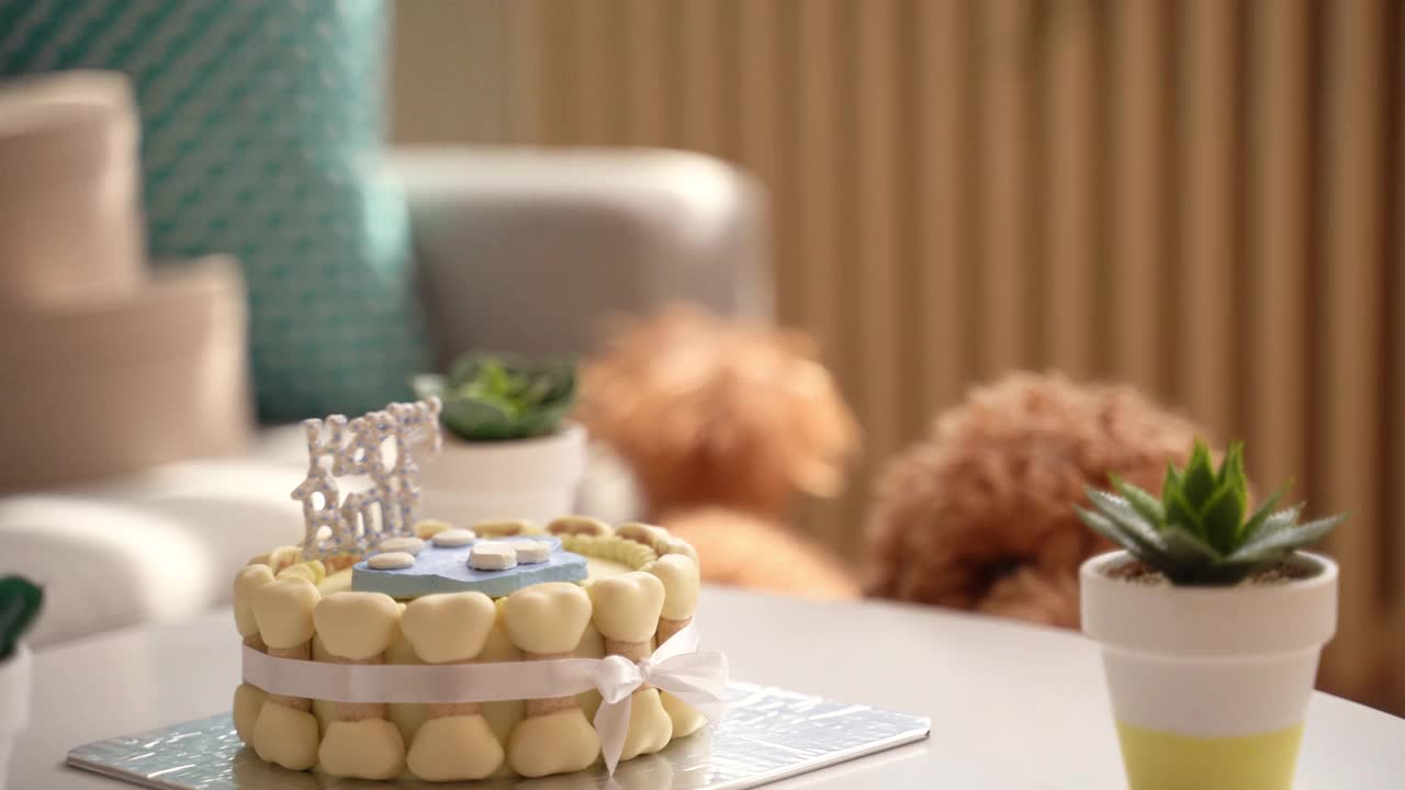 可爱的狗在吃生日蛋糕视频素材