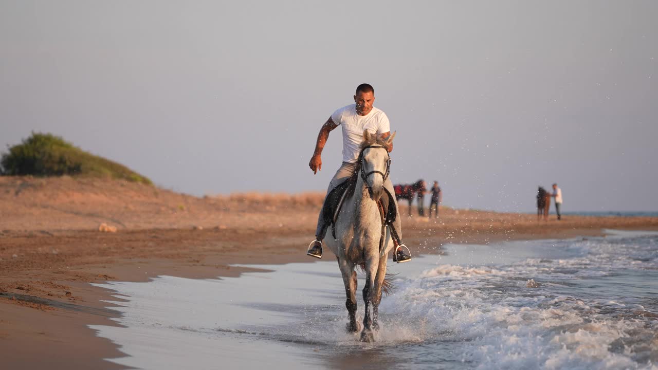 慢动作在海滩上骑马。视频下载