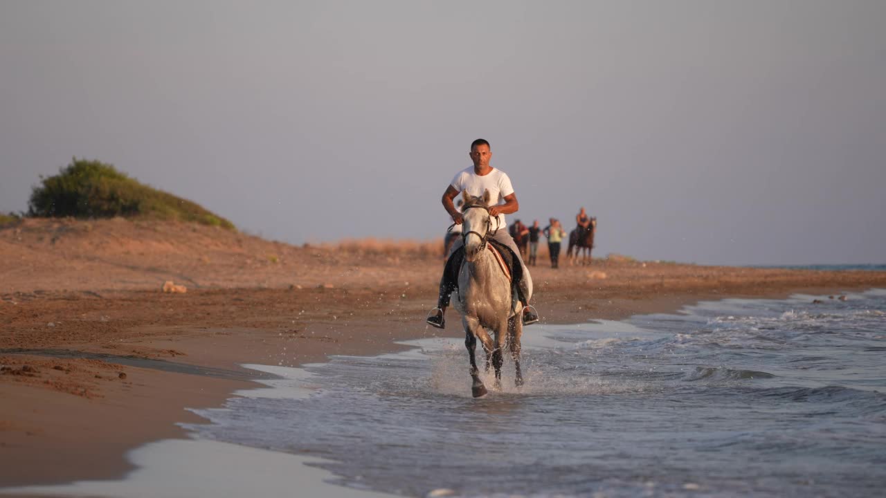 慢动作在海滩上骑马。视频下载