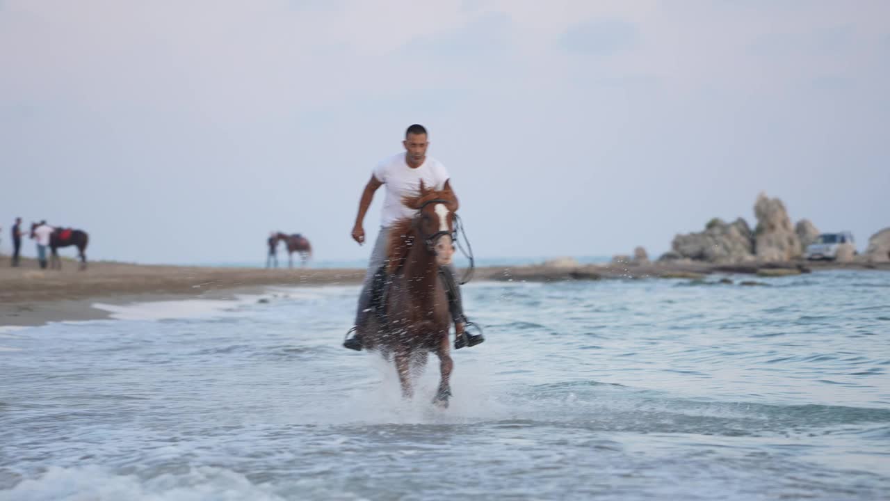 慢动作男子骑着棕色的马在海滩上疾驰。视频下载