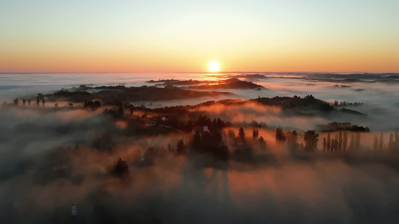 天空的晨雾在日出时漂浮在葡萄种植区视频下载