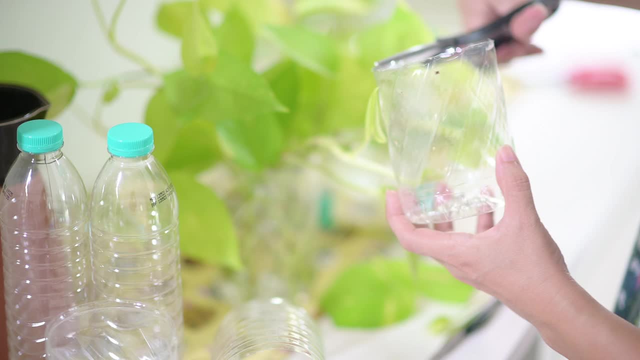 用回收的塑料瓶在家里种植盆栽植物的特写视频下载
