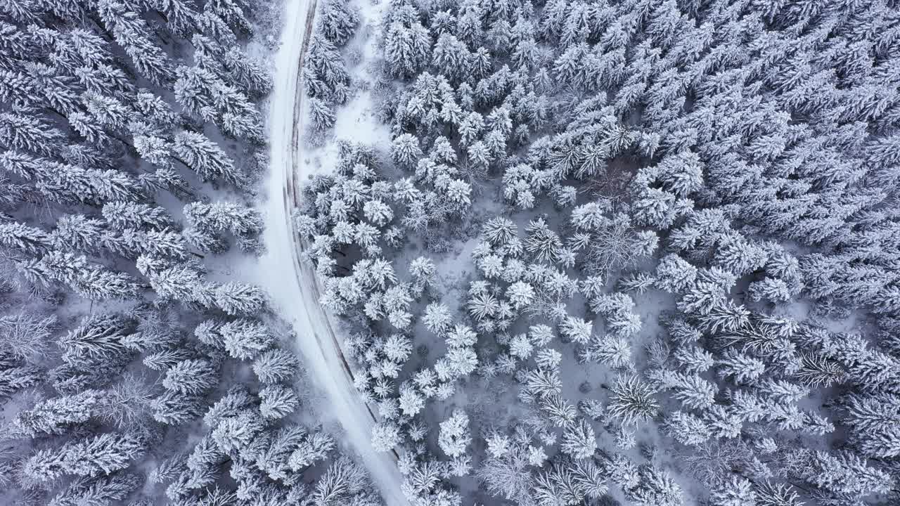 穿过冬日森林的道路视频下载