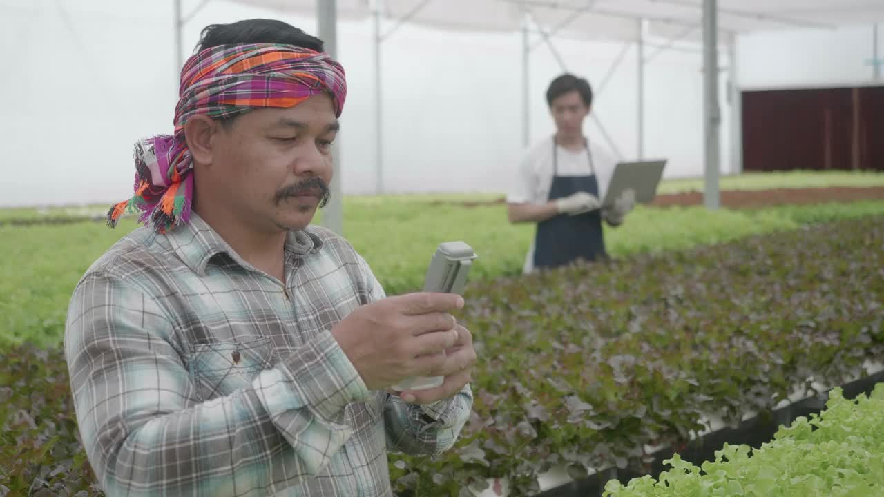 水培园丁精心照料有机蔬菜。农民检查水培系统水箱EC值，并竖起大拇指视频下载