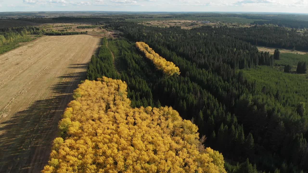从直升机上看到秋天的森林和田野视频素材