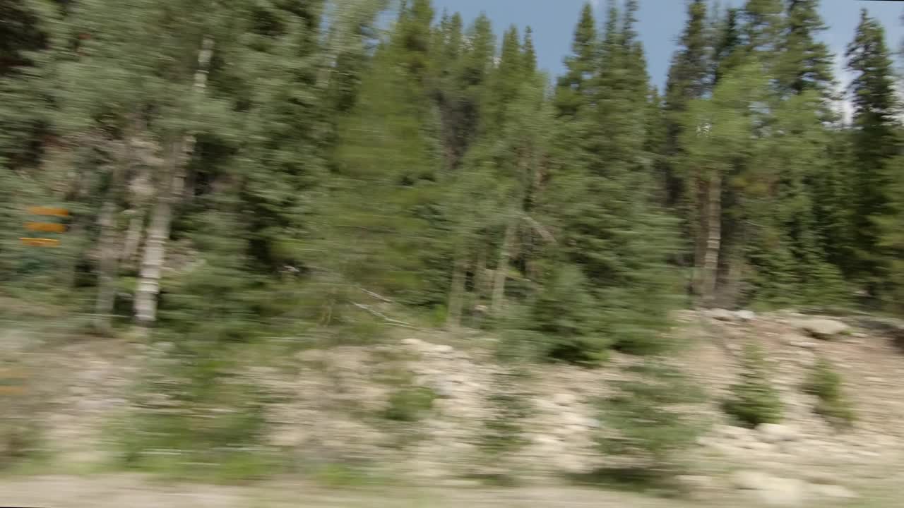 《皮特金县4》同步系列片《右夏日驾驶》视频下载